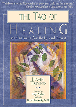 The Tao of Healing book